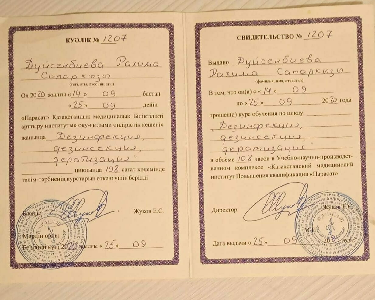 Описание изображения